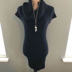 Express Cowl Neck Sweater Dress